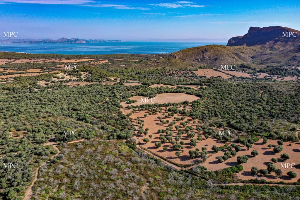 4 slaapkamer Finca/Landhuis te koop in Arta - € 1.250.000 (Ref: 9993913)
