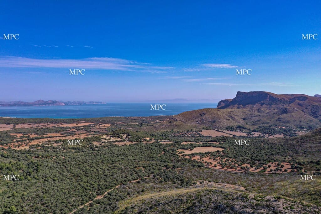 4 slaapkamer Finca/Landhuis te koop in Arta - € 1.250.000 (Ref: 9993913)