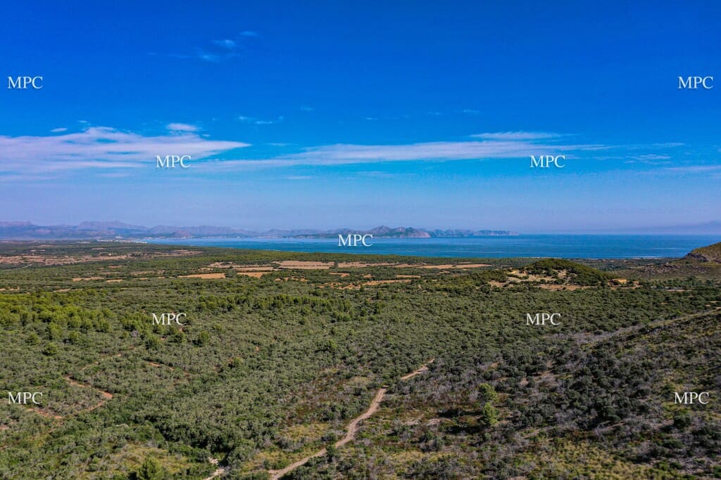 4 slaapkamer Finca/Landhuis te koop in Arta - € 1.250.000 (Ref: 9993913)