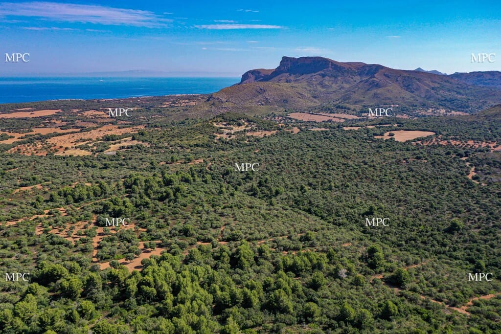 4 slaapkamer Finca/Landhuis te koop in Arta - € 1.250.000 (Ref: 9993913)