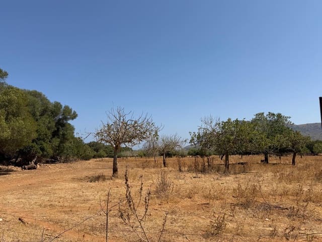 4 slaapkamer Finca/Landhuis te koop in Artà - € 1.250.000 (Ref: 9993913)
