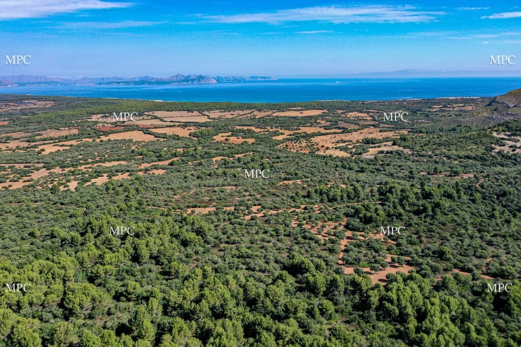 4 slaapkamer Finca/Landhuis te koop in Arta - € 1.250.000 (Ref: 9993913)