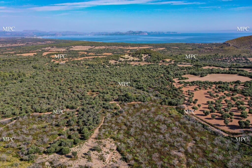 4 slaapkamer Finca/Landhuis te koop in Arta - € 1.250.000 (Ref: 9993913)