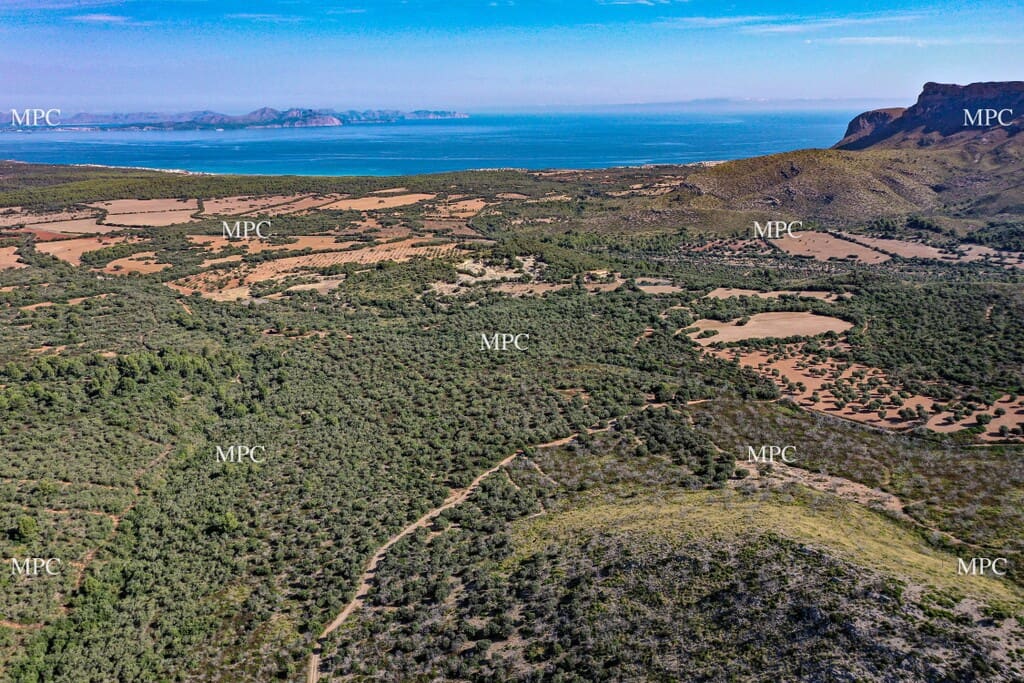 4 slaapkamer Finca/Landhuis te koop in Arta - € 1.250.000 (Ref: 9993913)