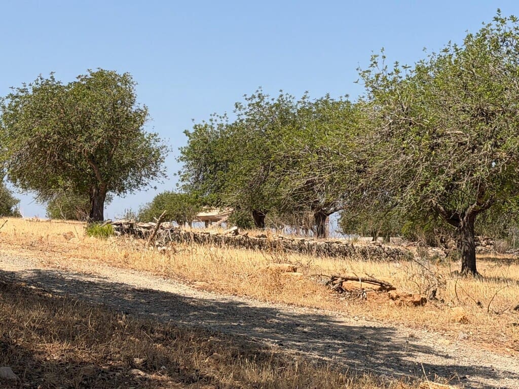 4 slaapkamer Finca/Landhuis te koop in Arta - € 1.250.000 (Ref: 9993913)