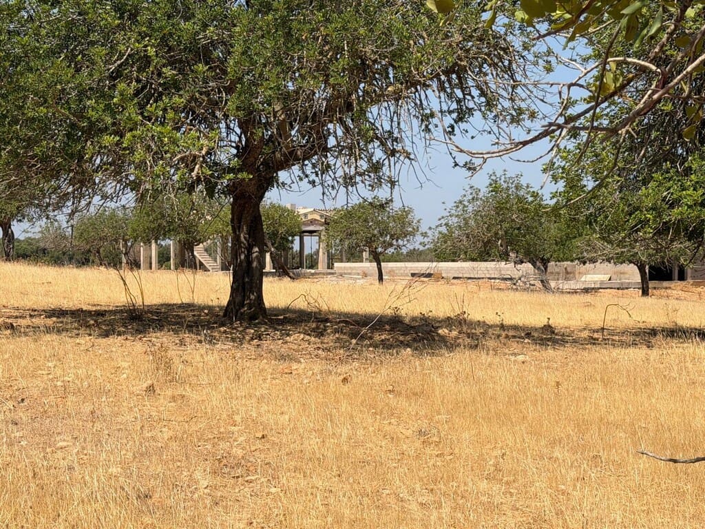 4 slaapkamer Finca/Landhuis te koop in Arta - € 1.250.000 (Ref: 9993913)