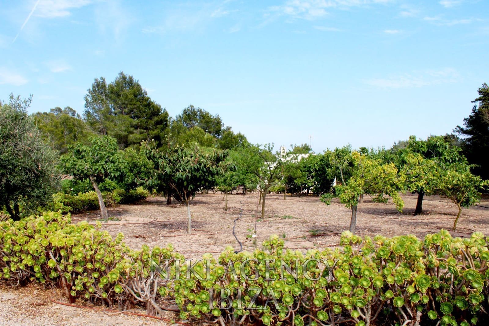 4 bedroom Villa for sale in Sant Rafael de Sa Creu with pool garage - € 4,395,000 (Ref: 9765023)