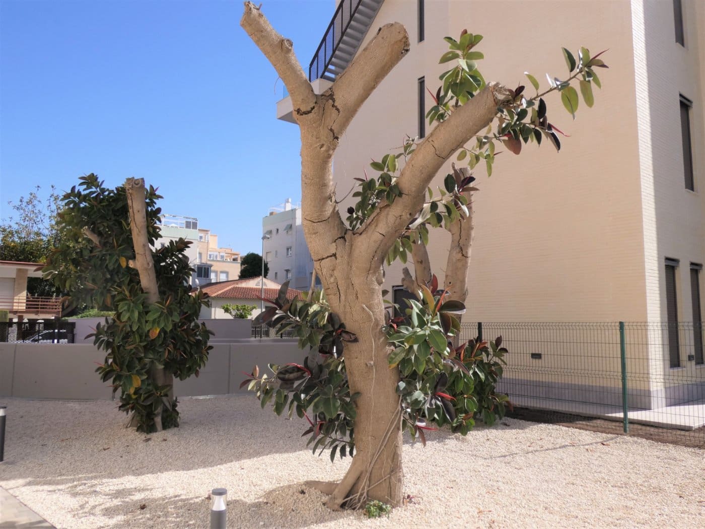 Appartement de 2 chambres à louer à Playa de San Juan avec piscine garage - 1 600 € (Ref: 9431001)