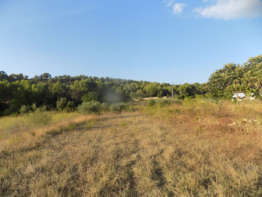 Bauplatz zu verkaufen in Murla - 168.000 € (Ref: 10052038)