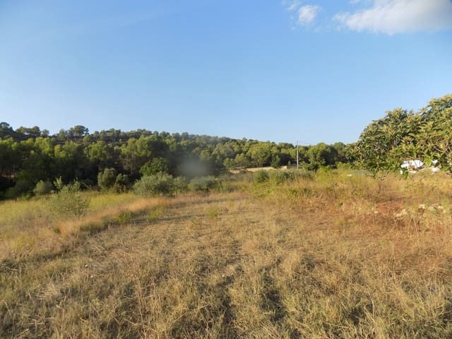 Bouwgrond te koop in Murla - € 168.000 (Ref: 10052038)
