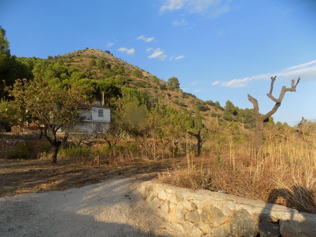 Bauplatz zu verkaufen in Murla - 168.000 € (Ref: 10052038)