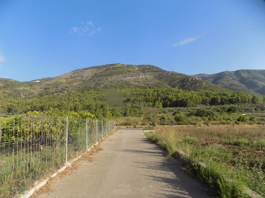 Grond te koop in Murla - € 106.000 (Ref: 10057292)