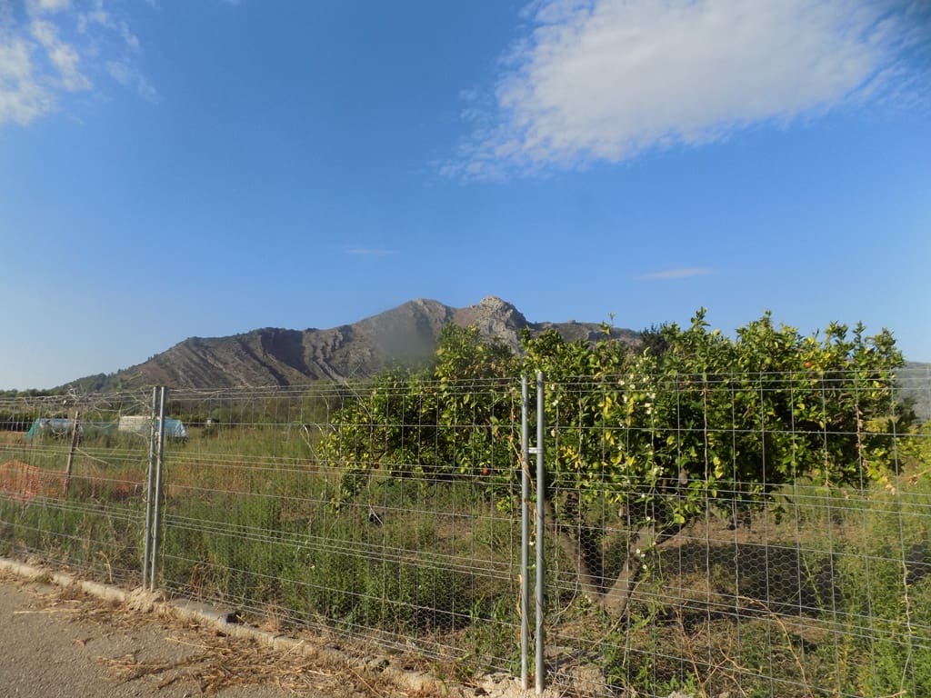 Grond te koop in Murla - € 106.000 (Ref: 10057292)