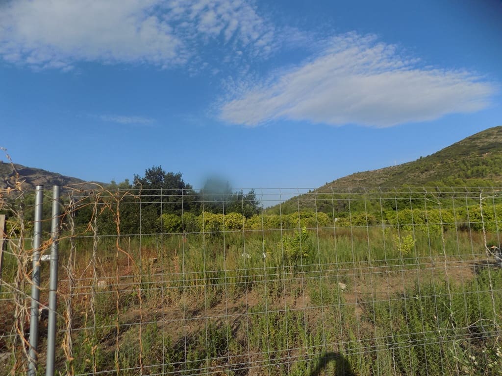 Grond te koop in Murla - € 106.000 (Ref: 10057292)