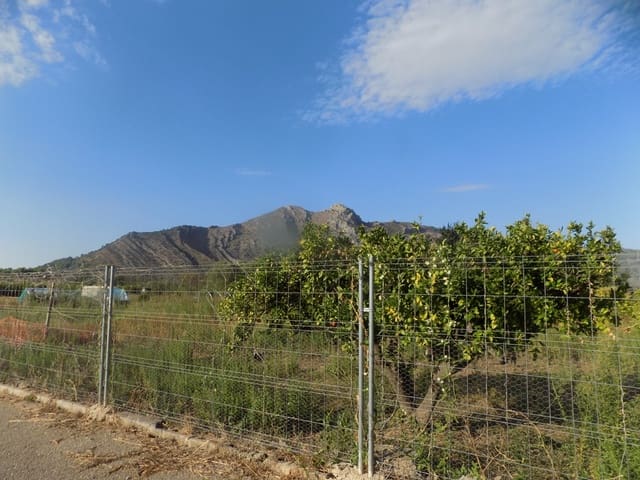 Grond te koop in Murla - € 106.000 (Ref: 10057292)