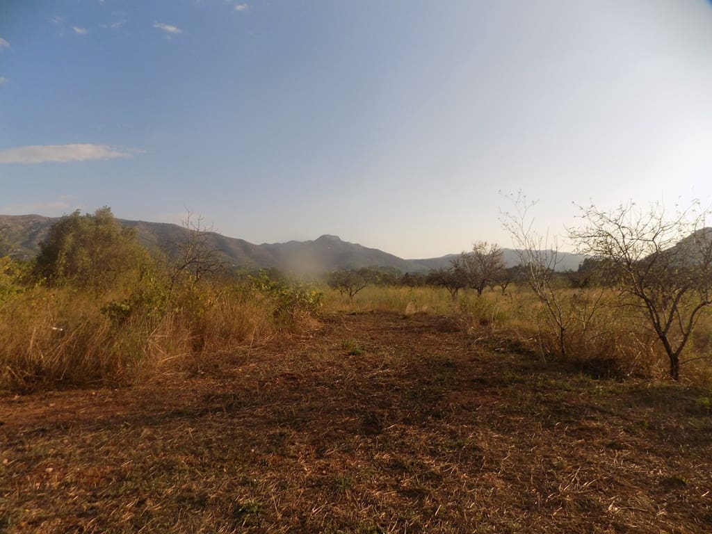 Finca/Casa Rural en Murla en venta - 145.000 € (Ref: 10057293)