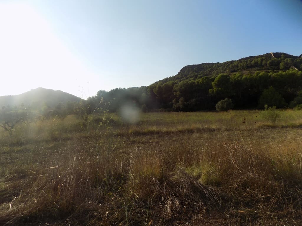 Finca/Casa Rural en Murla en venta - 145.000 € (Ref: 10057293)