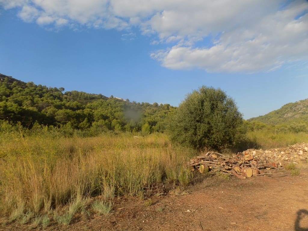 Finca/Casa Rural en Murla en venta - 145.000 € (Ref: 10057293)