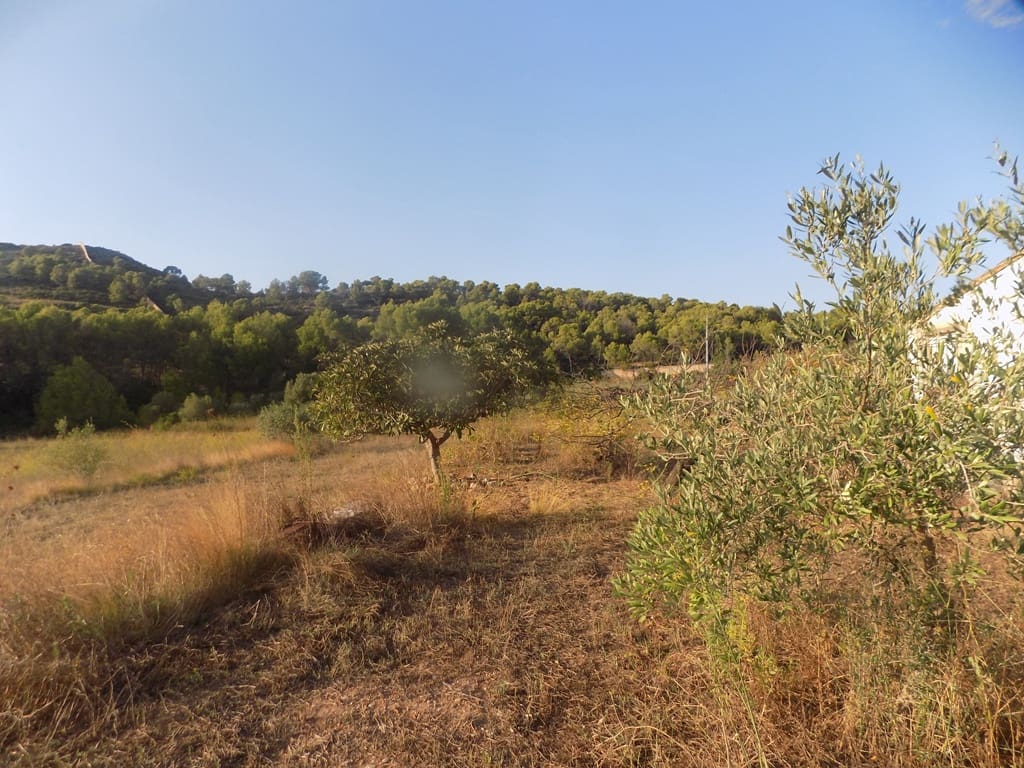 Finca/Casa Rural en Murla en venta - 145.000 € (Ref: 10057293)