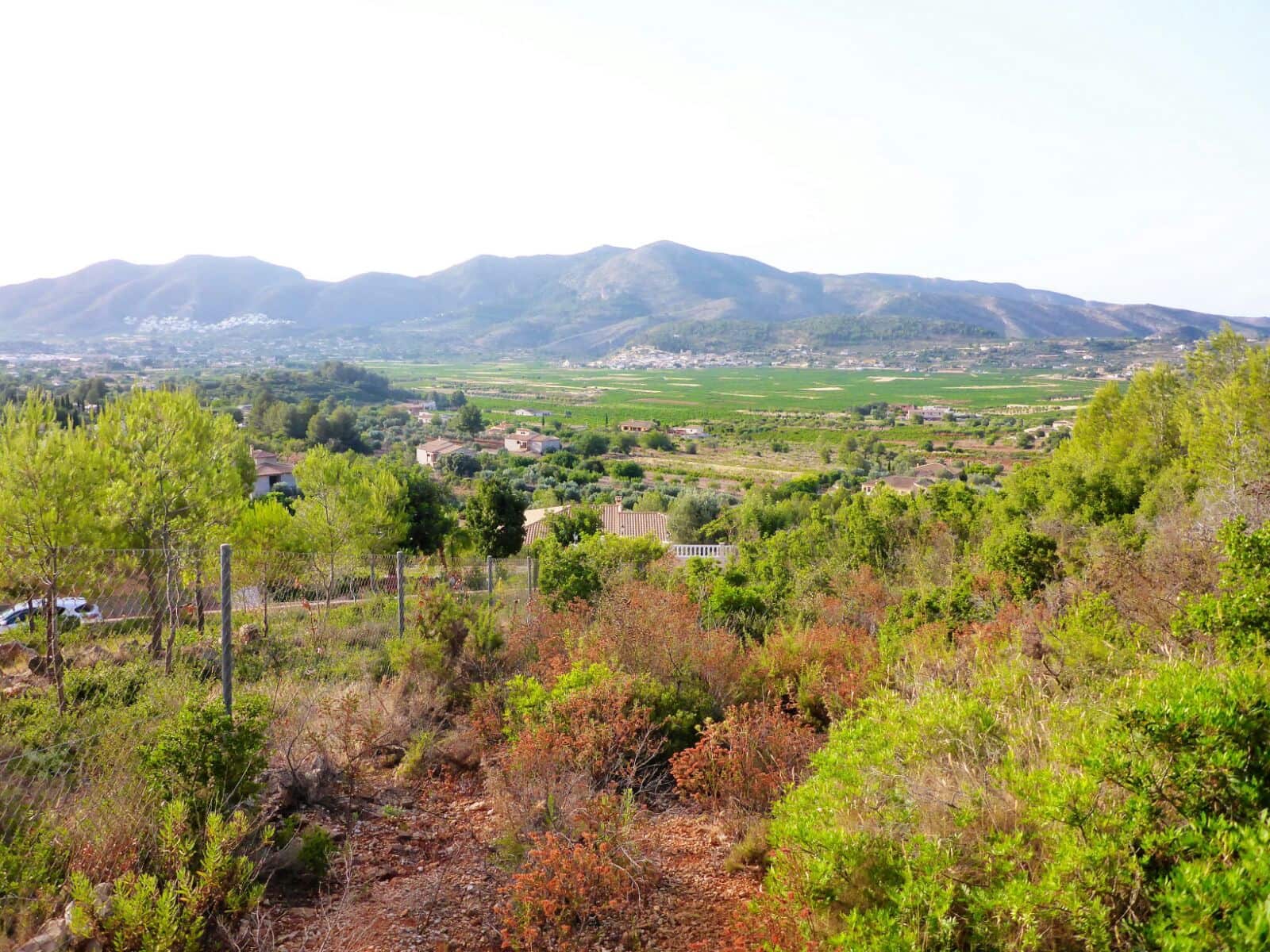 Tomt till salu i Alcalali / Alcanali - 50 000 € (Ref: 5127389)