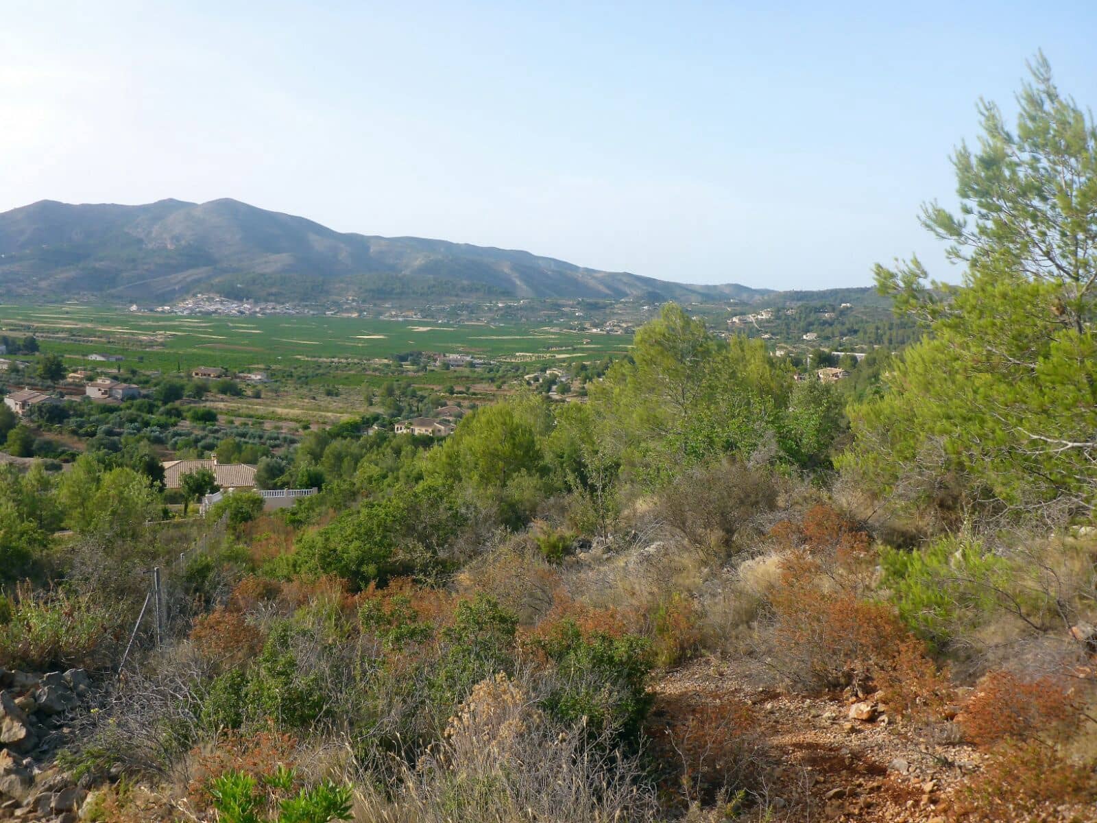 Tomt till salu i Alcalali / Alcanali - 50 000 € (Ref: 5127389)