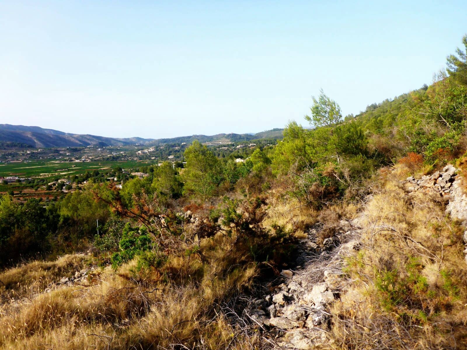 Tomt till salu i Alcalali / Alcanali - 50 000 € (Ref: 5127389)