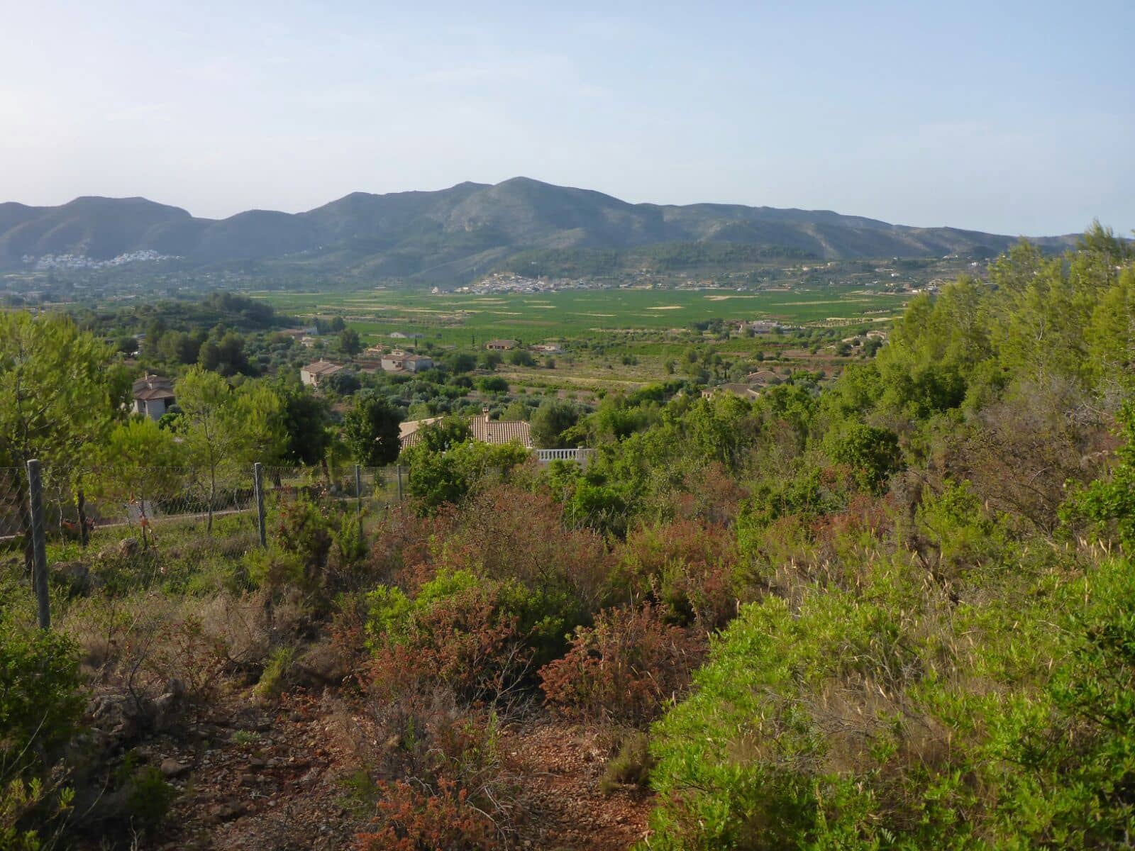 Tomt till salu i Alcalali / Alcanali - 50 000 € (Ref: 5127389)