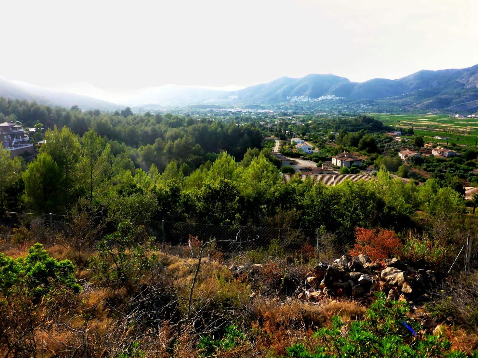 Tomt till salu i Alcalali / Alcanali - 50 000 € (Ref: 5127389)