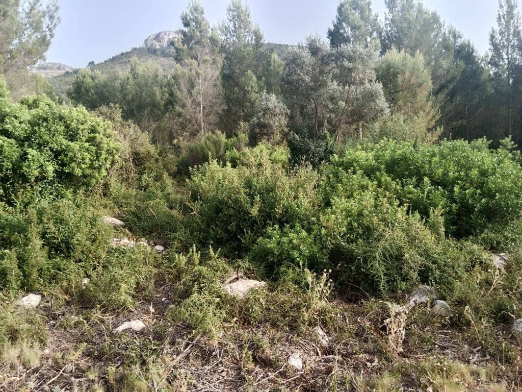 Grunde uden byggetilladelser til salg i Alcalali / Alcanali - € 24.000 (Ref: 6955706)