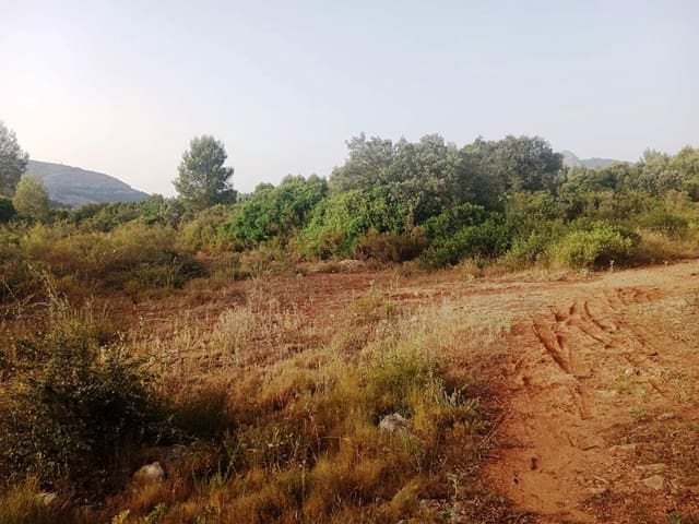 Undeveloped Land for sale in Alcalalí / Alcanalí - € 28,000 (Ref: 6955707)