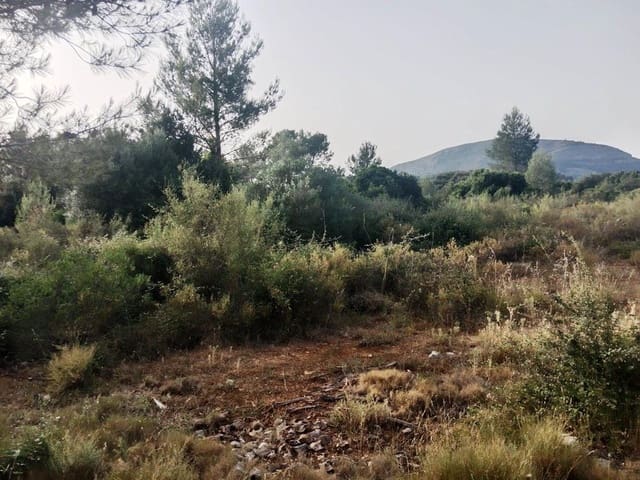Undeveloped Land for sale in Alcalalí / Alcanalí - € 28,000 (Ref: 6955707)