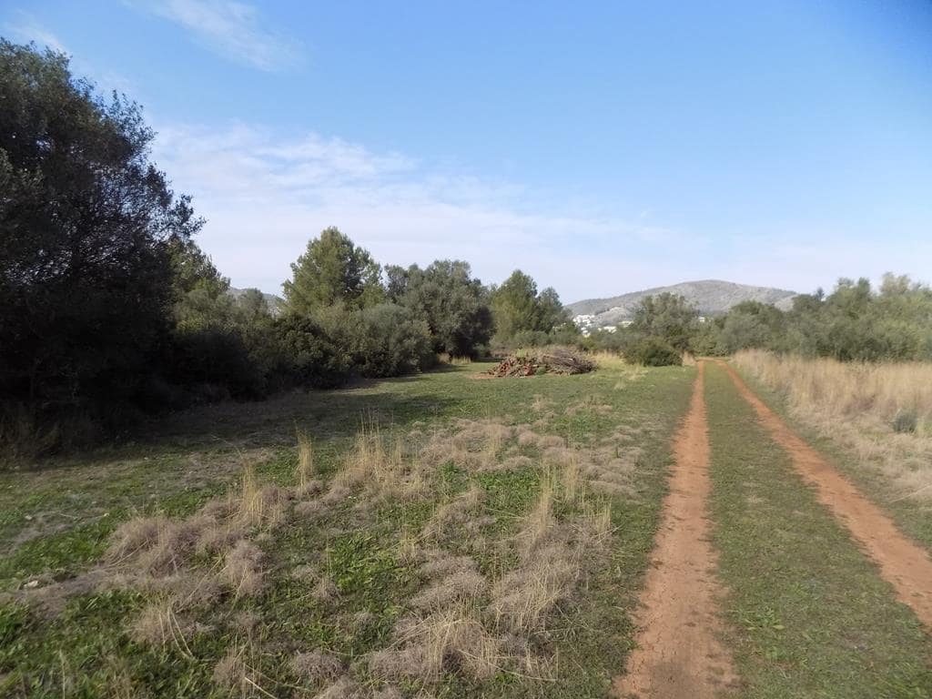 Grunde uden byggetilladelser til salg i Jalon / Xalo - € 350.000 (Ref: 7430826)