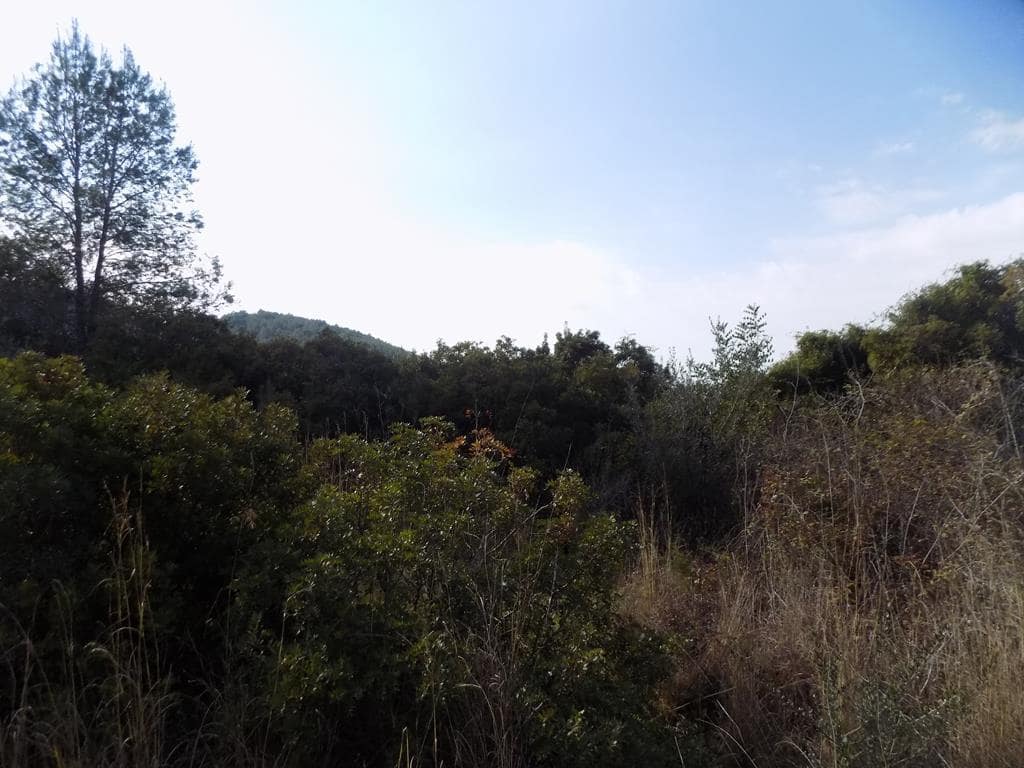 Grunde uden byggetilladelser til salg i Jalon / Xalo - € 350.000 (Ref: 7430826)