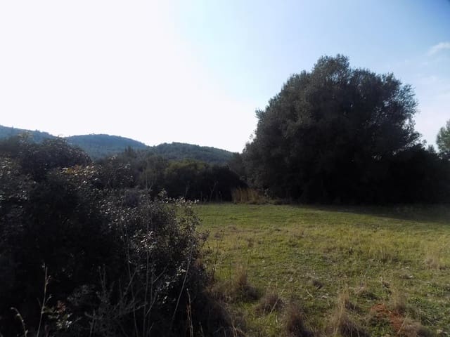Undeveloped Land for sale in Jalón / Xaló - € 350,000 (Ref: 7430826)
