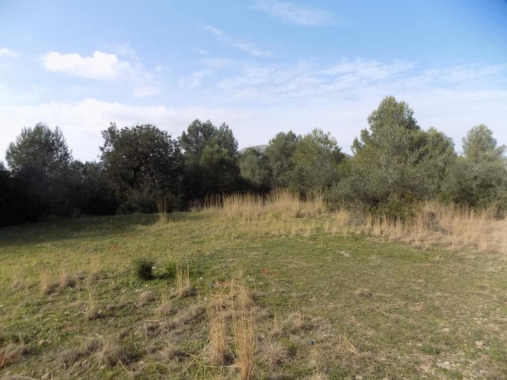 Grunde uden byggetilladelser til salg i Jalon / Xalo - € 350.000 (Ref: 7430826)