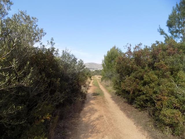 Undeveloped Land for sale in Jalón / Xaló - € 350,000 (Ref: 7430826)