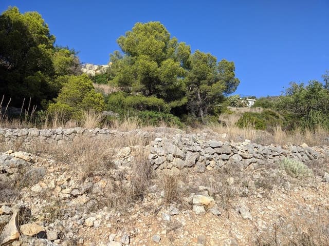 Building Plot for sale in Alcalalí / Alcanalí - € 55,000 (Ref: 8046125)