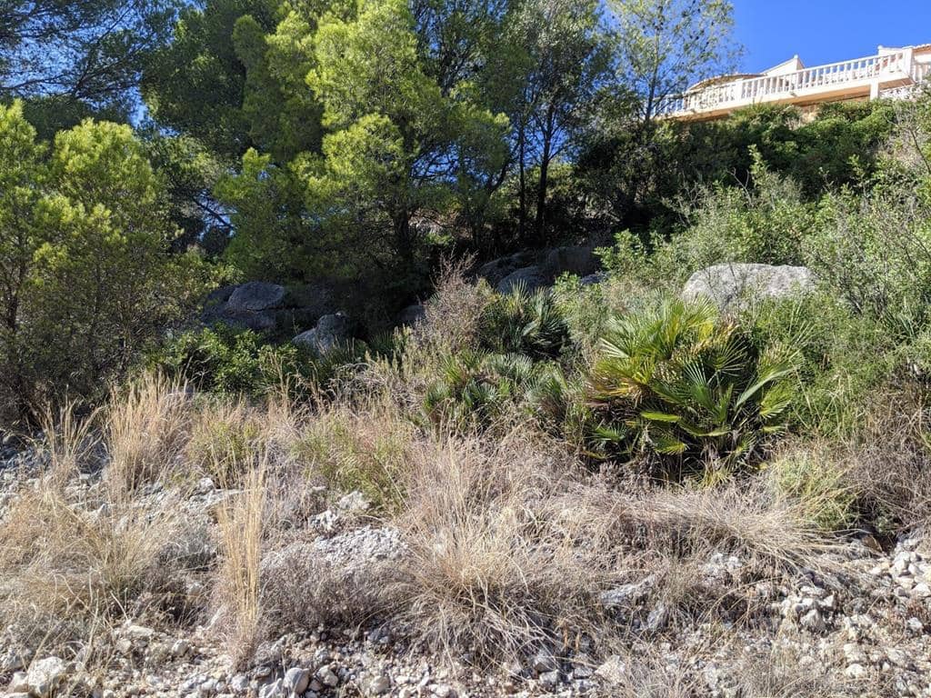 Bouwgrond te koop in Alcalali / Alcanali - € 55.000 (Ref: 8046125)