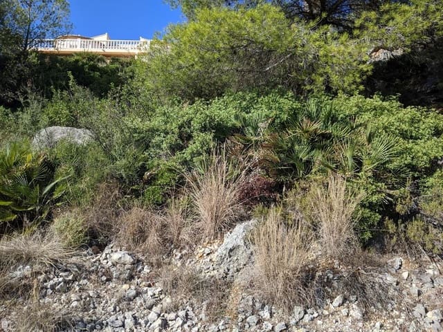 Building Plot for sale in Alcalalí / Alcanalí - € 55,000 (Ref: 8046125)