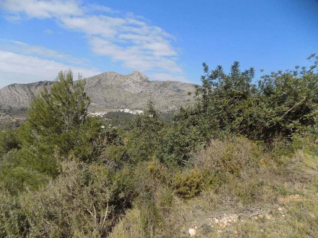 Ubebygd land til salgs i Benigembla / Benichembla - € 95 000 (Ref: 8046290)