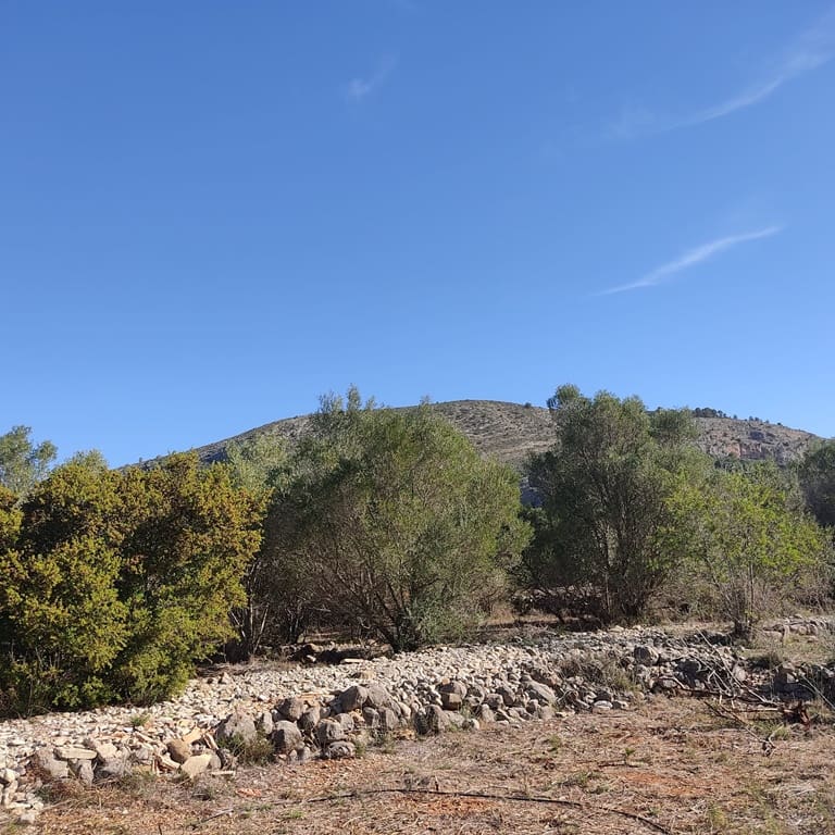 Terreno Non Edificato in vendita in Alcalali / Alcanali - 165.000 € (Rif: 8426898)