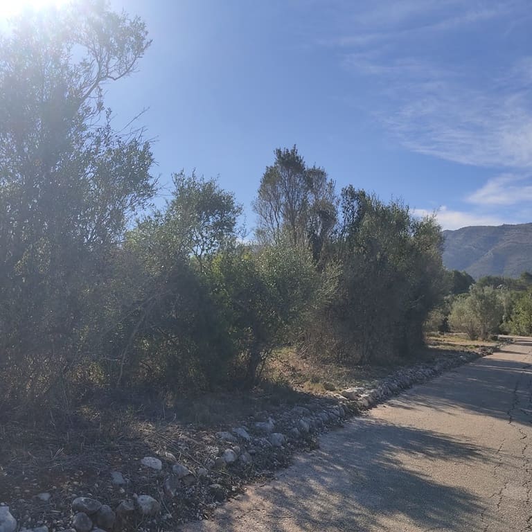 Terreno Non Edificato in vendita in Alcalali / Alcanali - 165.000 € (Rif: 8426898)