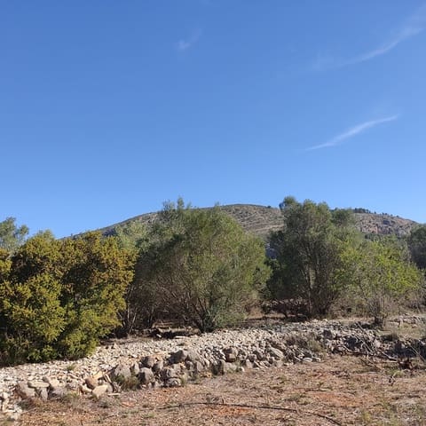 Undeveloped Land for sale in Alcalalí / Alcanalí - € 165,000 (Ref: 8426898)