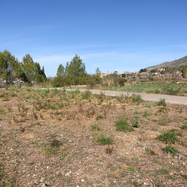 Terreno Non Edificato in vendita in Alcalali / Alcanali - 165.000 € (Rif: 8426898)