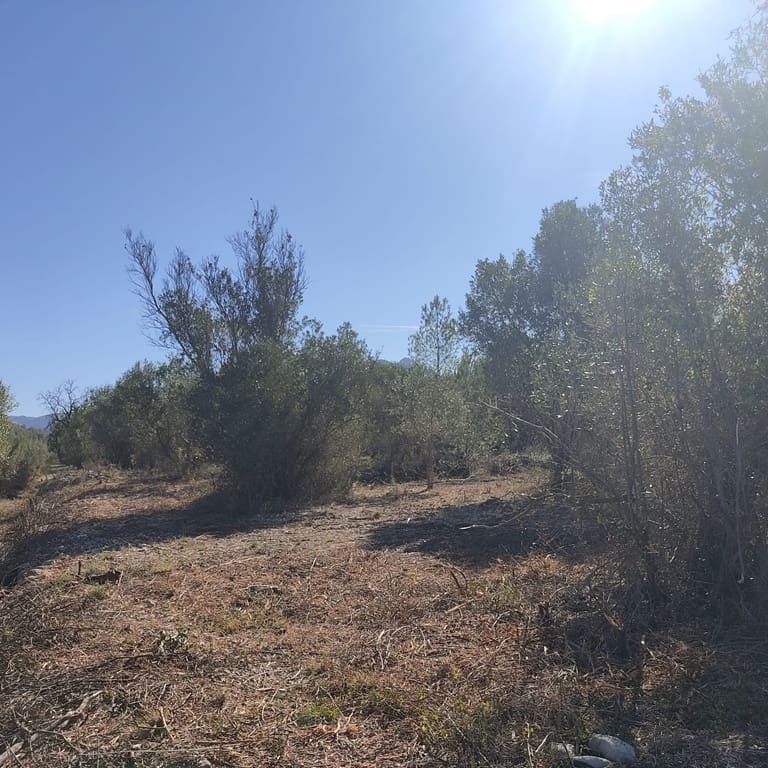 Terreno Non Edificato in vendita in Alcalali / Alcanali - 165.000 € (Rif: 8426898)