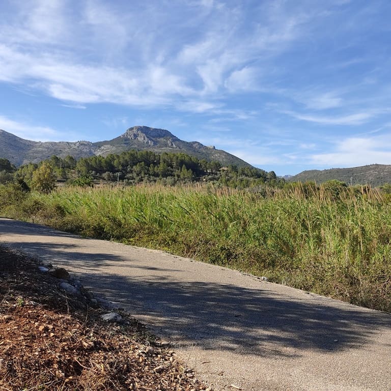 Terreno Non Edificato in vendita in Alcalali / Alcanali - 165.000 € (Rif: 8426898)