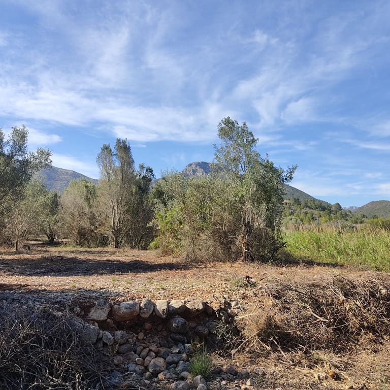 Terreno Non Edificato in vendita in Alcalali / Alcanali - 165.000 € (Rif: 8426898)