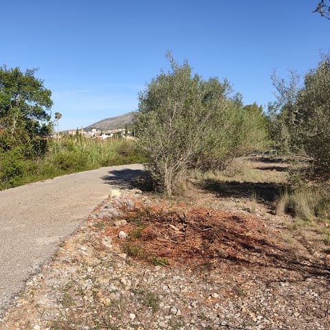 Undeveloped Land for sale in Alcalalí / Alcanalí - € 165,000 (Ref: 8426898)