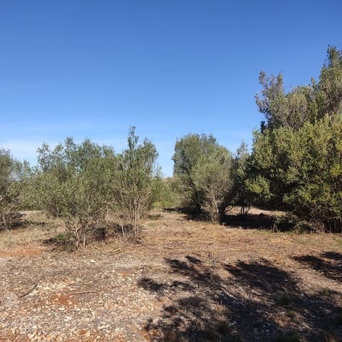 Undeveloped Land for sale in Alcalalí / Alcanalí - € 165,000 (Ref: 8426898)