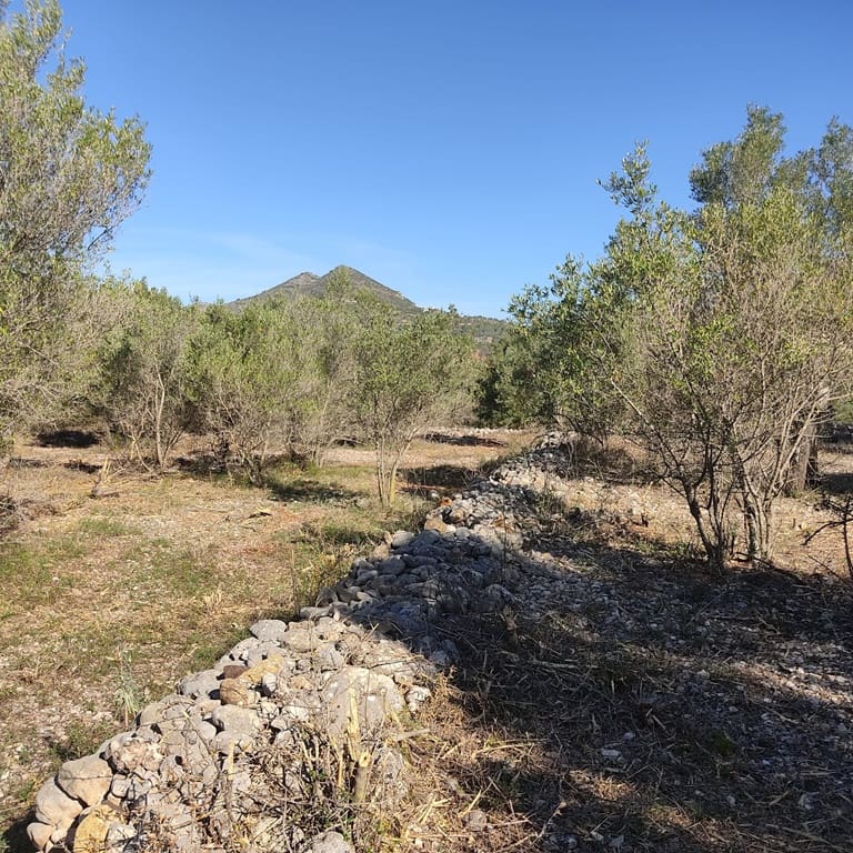 Terreno Non Edificato in vendita in Alcalali / Alcanali - 165.000 € (Rif: 8426898)